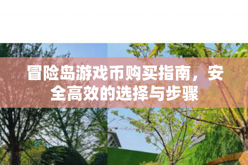 冒险岛游戏币购买指南图片