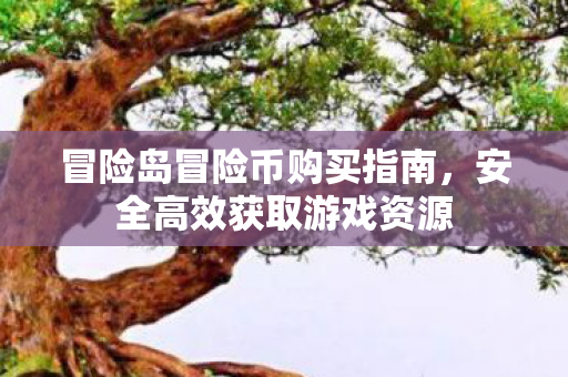 冒险岛冒险币购买指南图片
