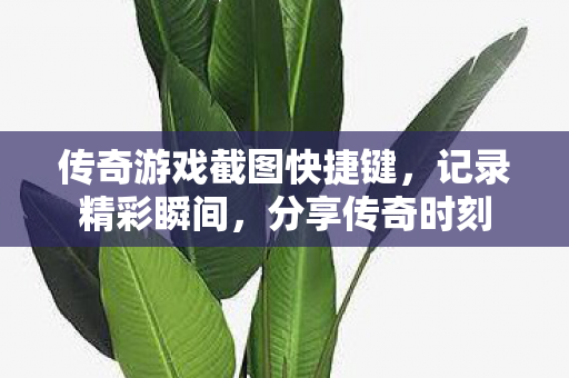 传奇游戏截图快捷键图片