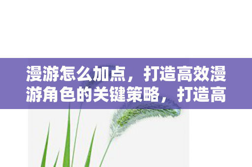 漫游怎么加点,打造高效漫游角色的关键策略,打造高效漫游角色,关键加点策略 漫游怎么加点,打造高效漫游角色的关键策略,打造高效漫游角色,关键加点策略