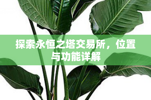 探索永恒之塔交易所图片