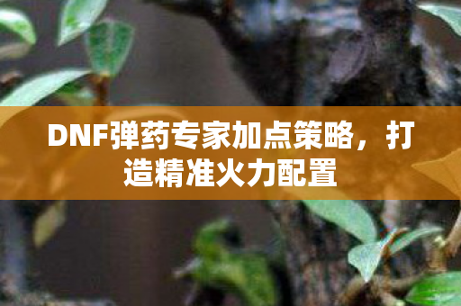 DNF弹药专家加点策略图片