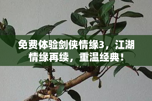 免费体验剑侠情缘3图片