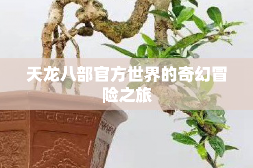 天龙八部官方世界的奇幻冒险之旅图片