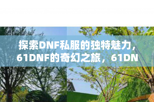探索DNF私服的独特魅力,61DNF的奇幻之旅,61DNF,探索私服独特魅力,开启奇幻之旅 探索DNF私服的独特魅力,61DNF的奇幻之旅,61DNF,探索私服独特魅力,开启奇幻之旅