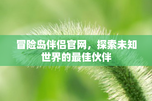 探索未知世界的最佳伙伴图片