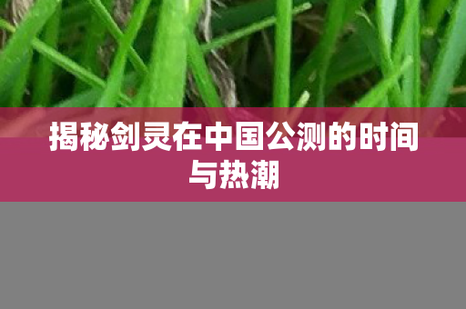揭秘剑灵在中国公测的时间与热潮