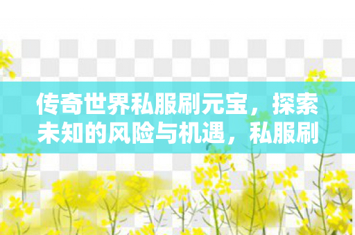 探索传奇世界中的风险与机遇图片