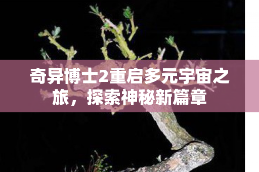 奇异博士2重启多元宇宙之旅图片