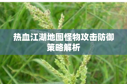 热血江湖地图怪物攻击防御策略解析图片