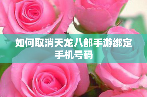如何取消天龙八部手游绑定手机号码图片