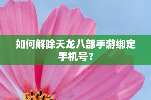 如何解除天龙八部手游绑定手机号图片