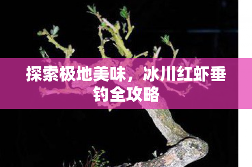 冰川红虾垂钓全攻略图片