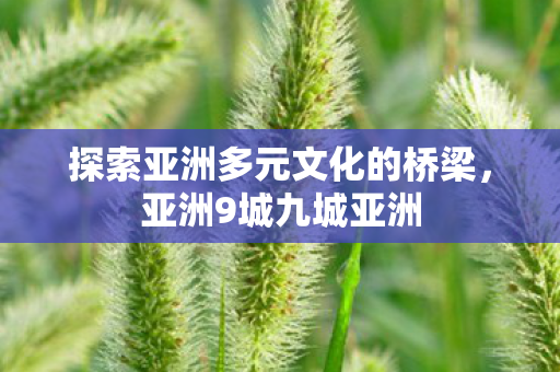 探索亚洲多元文化的桥梁图片