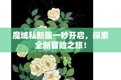 魔域私新服一秒开启图片