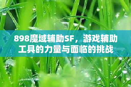 游戏辅助工具的力量与面临的挑战图片
