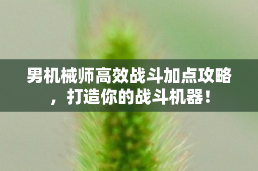 男机械师高效战斗加点攻略图片