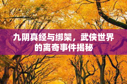 武侠世界的离奇事件揭秘图片
