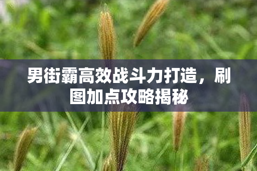男街霸高效战斗力打造图片