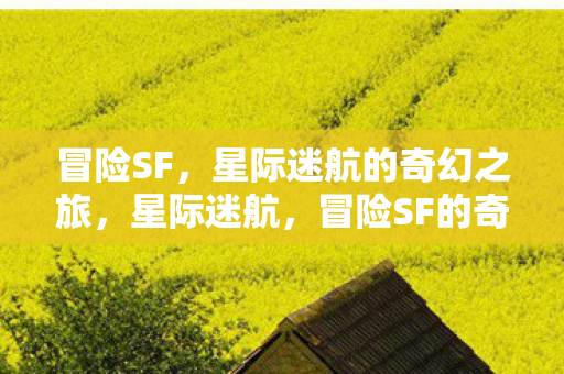 星际迷航的奇幻之旅图片