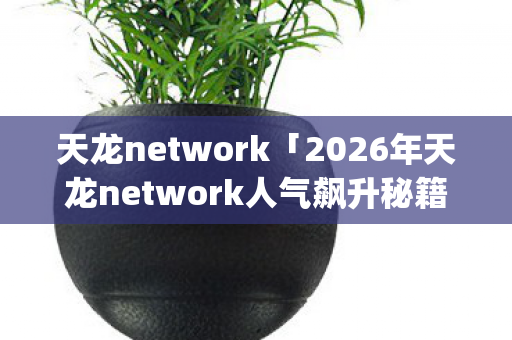 2026年天龙network人气飙升秘籍图片
