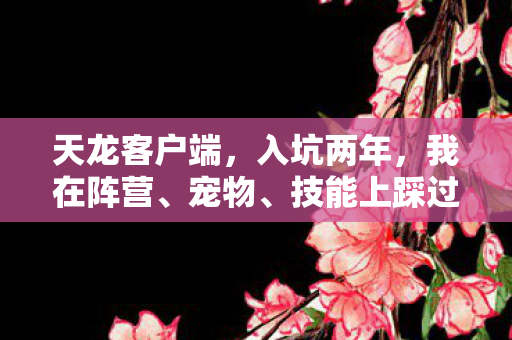 技能上踩过的那些坑天龙八部私服图片