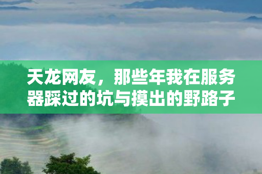 那些年我在服务器踩过的坑与摸出的野路子天龙私服图片