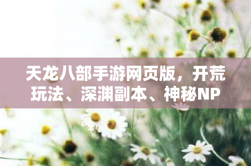 神秘NPC鲜活人格拉满趣味性天龙私服图片