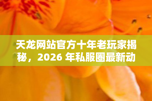 2026 年私服圈最新动态与避坑指南天龙八部私服图片