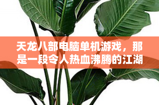 那是一段令人热血沸腾的江湖之旅图片