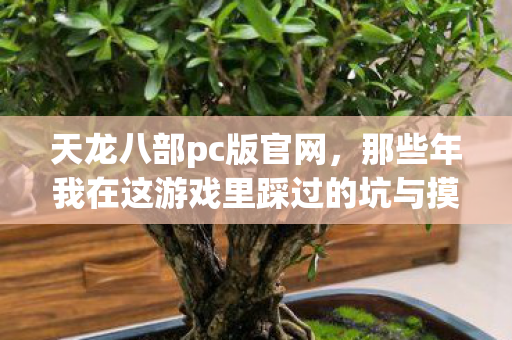 那些年我在这游戏里踩过的坑与摸出的野路子天龙八部私服图片