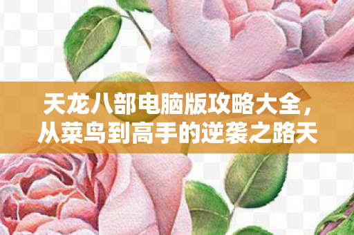 从菜鸟到高手的逆袭之路天龙私服图片