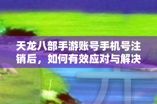 天龙八部手游账号手机号注销后图片