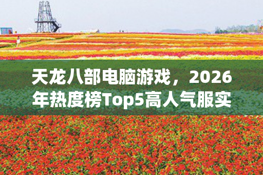 2026年热度榜Top5高人气服实测图片