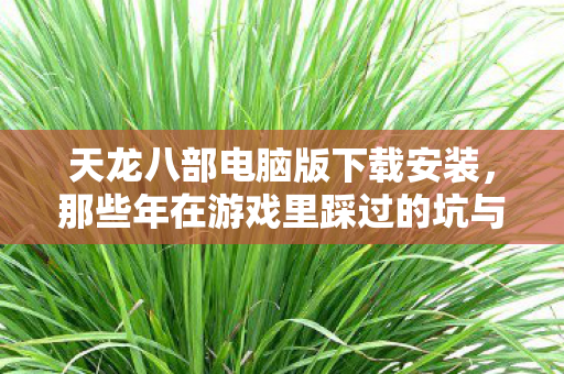 那些年在游戏里踩过的坑与摸出的野路子天龙八部私服图片
