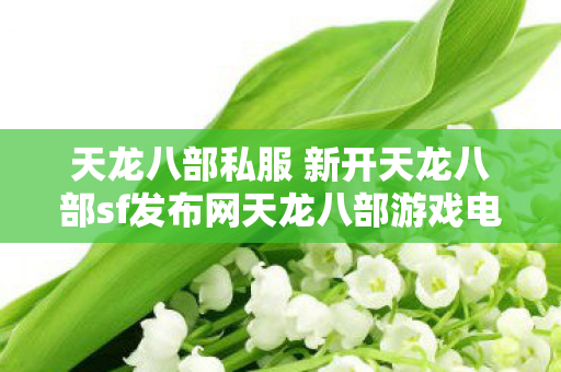 天龙八部私服 新开天龙八部sf发布网天龙八部游戏电脑版怎么玩图片