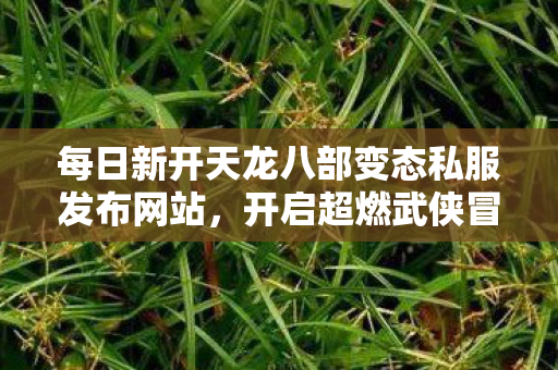 每日新开天龙八部变态私服发布网站图片