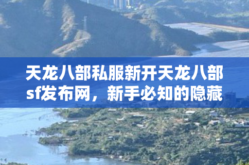 新手必知的隐藏玩法与超值体验天龙八部私服图片