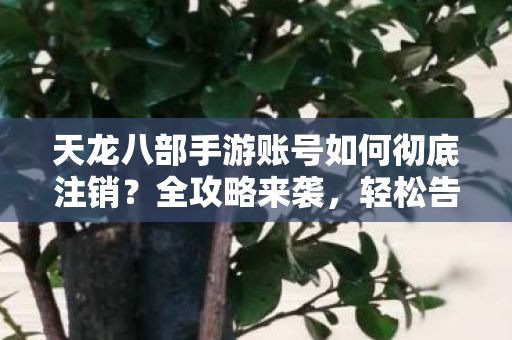 天龙八部手游账号如何彻底注销图片