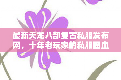 十年老玩家的私服圈血泪与宝藏指南天龙八部私服图片