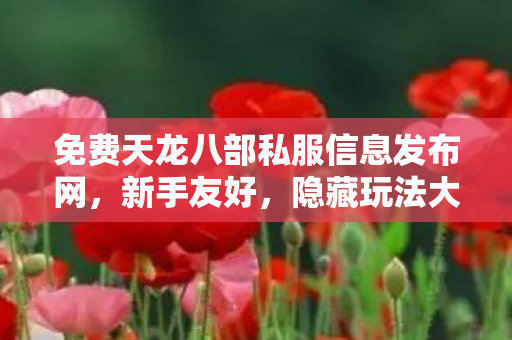 免费天龙八部私服信息发布网图片