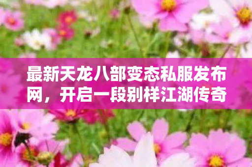 开启一段别样江湖传奇天龙私服图片