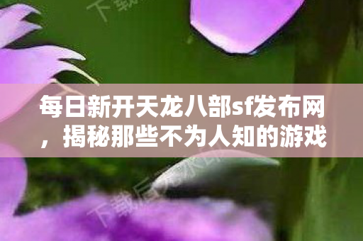 揭秘那些不为人知的游戏真相天龙八部私服图片