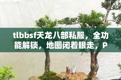 PK乱杀的骨灰级玩法天龙八部私服图片