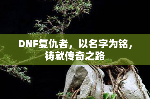 DNF复仇者图片