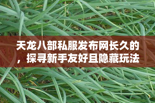 探寻新手友好且隐藏玩法超多的武侠世界天龙私服图片