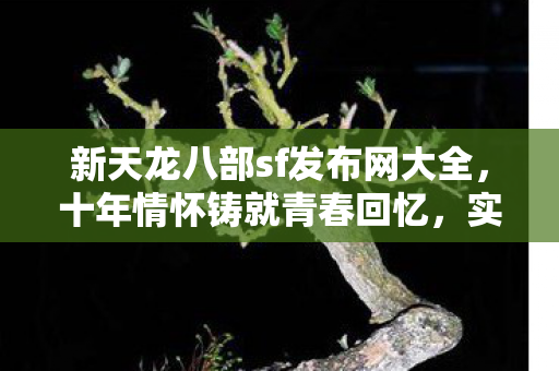 新天龙八部sf发布网大全图片