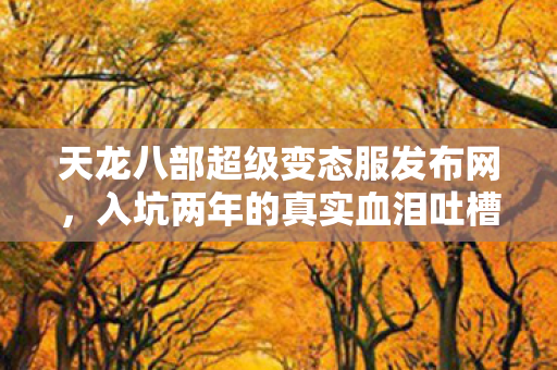 入坑两年的真实血泪吐槽与野路子分享天龙八部私服图片