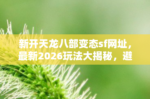 避坑指南与疑问解答天龙私服图片