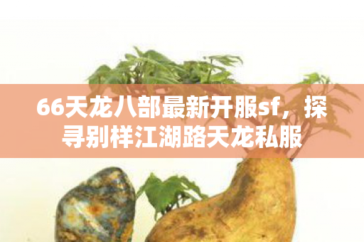 66天龙八部最新开服sf图片